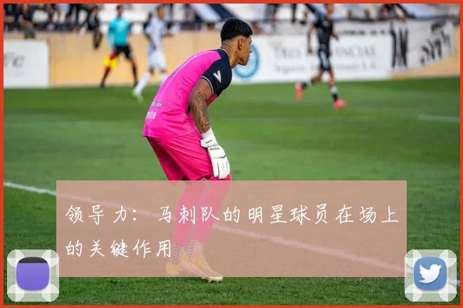 领导力：马刺队的明星球员在场上的关键作用